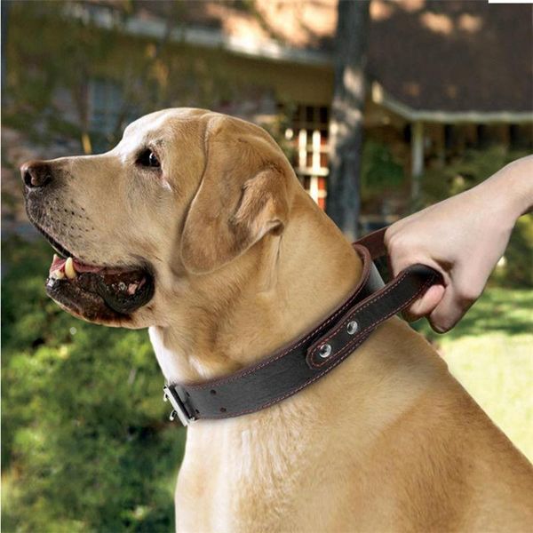 

pet dog collar integrated short elastic leash reflective training quick control for rescue force collars & leashes