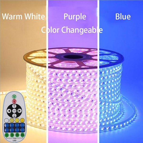 

1-10m 5730 led strip light ww+blue 220v ip67 waterproof tape dual color changeable dimmable for home decor strips