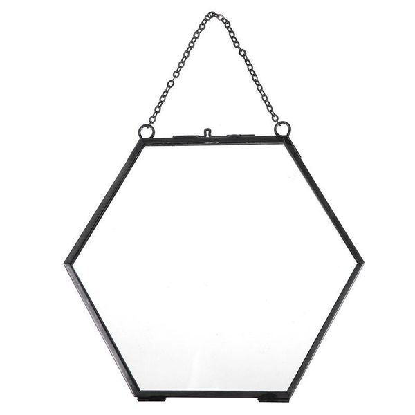 

frames hexagon glass hanging po frame specimen clip decorative picture