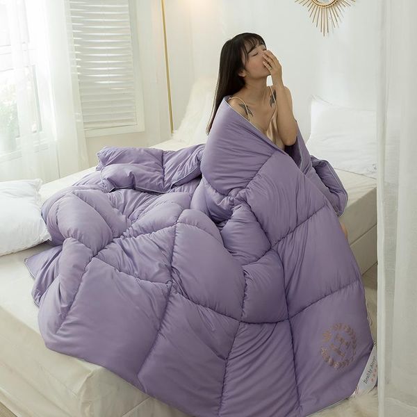 

comforters & sets hilton network plush cotton quilt core five star el winter bedding single double four seasons warm thickened dormitory