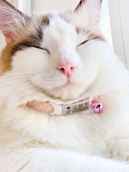 

dog tag with cute little cat dog pet lose proof lettering bell decorated collar