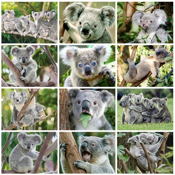 

diamond painting evershine 5d diy full square koala animals embroidery sale cross stitch kit home decoration art