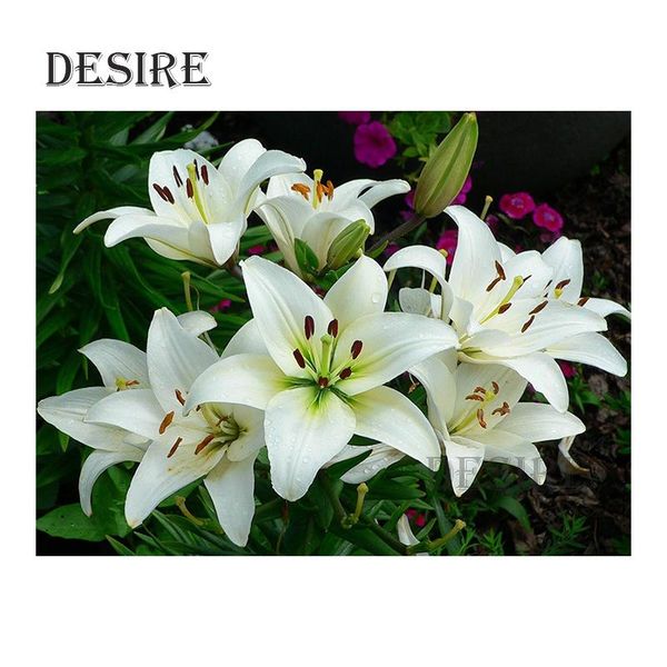 

diamond painting eashru cross stitch white lily flower full round drill mosaic picture rhinestone diy embroidery pt2257