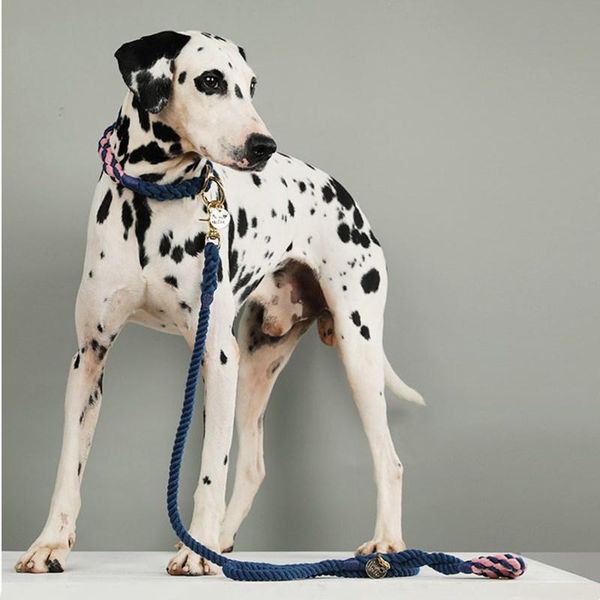 

handmade dog p type traction rope explosion proof leash small-large leads weimaraner doberman labrador accessories collars & leashes