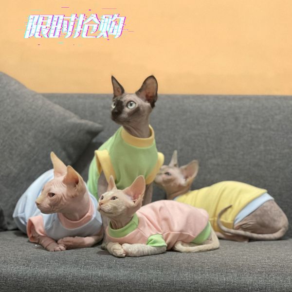 

hairls cat cloth cotton stripe summer sold out no tonic soft elastic sphinx devon