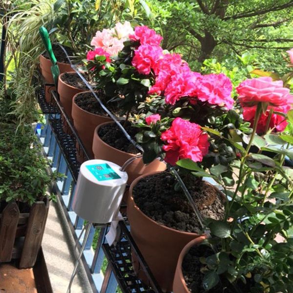 

watering equipments manual/automatic device automatic pump controller flowers plants home sprinkler drip irrigation