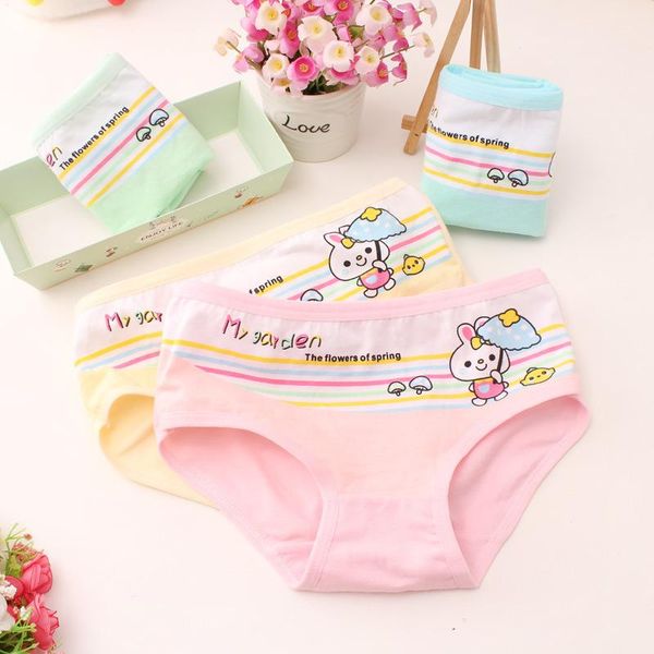 

panties 5pcs/lot fashion children girls cotton cute cartoon printed baby kids underwear boxer briefs 2-12y, Camo