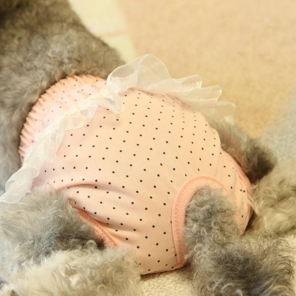 

dog apparel pink pet physiology pants shorts cat underwear puppy cute star diaper lace edge sanitary briefs panties female