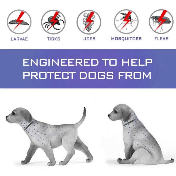 

dog collars & leashes cat flea collar and tick insect repellent essential oil pet