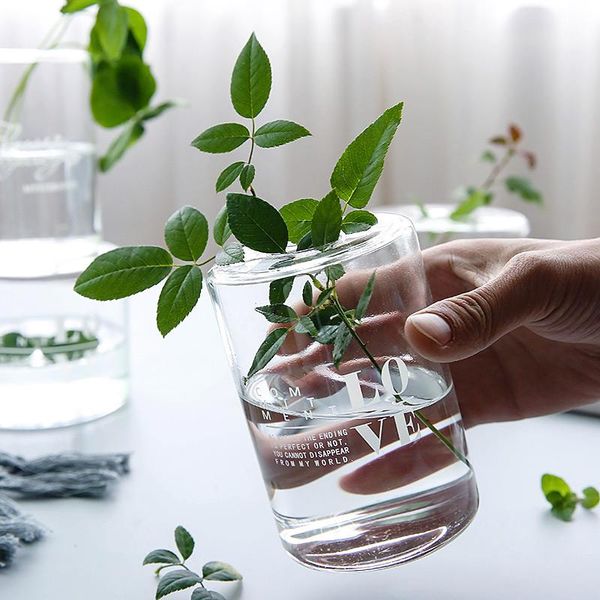 

vases nordic transparent glass hydroponic vase creative tableflower pot green plant bonsai container home decoration accessories