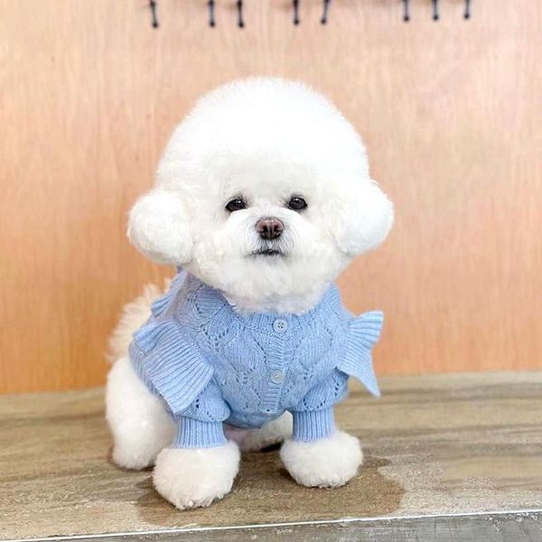 

dog apparel cat clothing winter puppy small sweater cardigan knit yorkies bichon pomeranian shih tzu maltese schnauzer coat