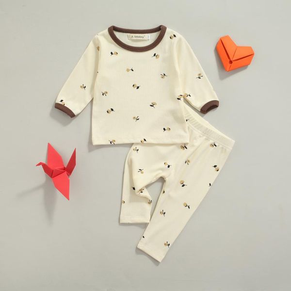 

clothing sets 2pcs infant baby girls boys floral clothes pajamas set toddler rib soft cotton casual long sleeve t-shirt+trousers suit, White