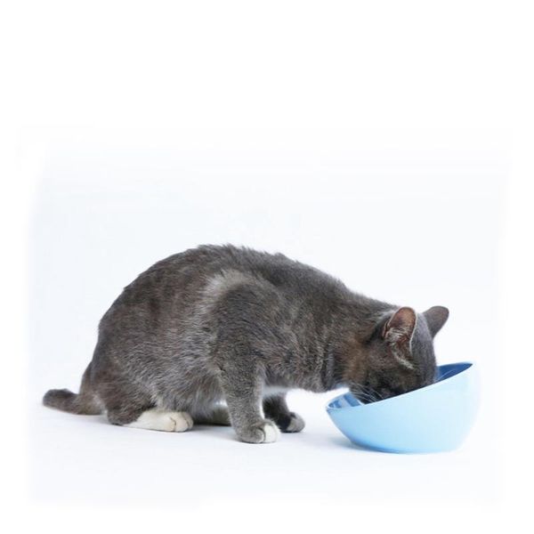

pet produc tableware drinking dish feeder cat puppy with raised feeding supplies small dog accessories bowls & feeders