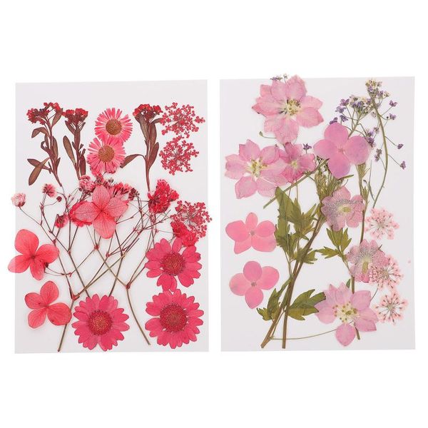 

decorative flowers & wreaths 2 sets dried pressed flower natural materials pretty