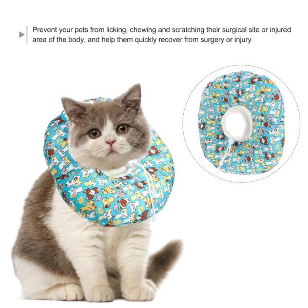 

cat collars & leads recovery pet collar anti-scratch anti-bite