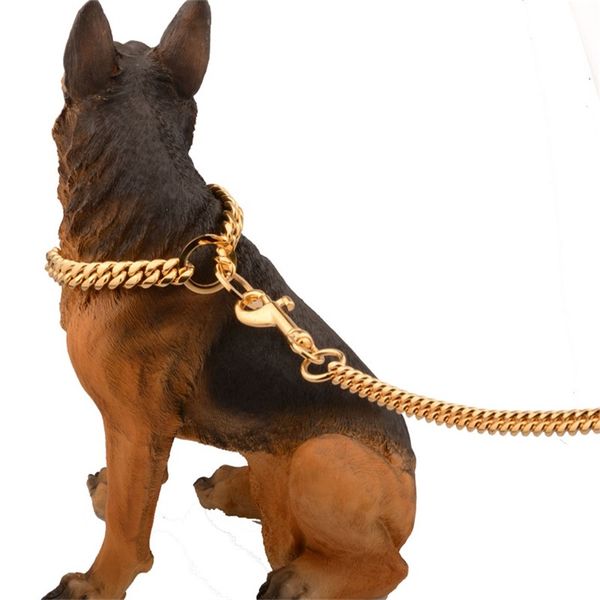 Collare in oro per cani da compagnia in acciaio inossidabile in metallo Piombo Collare per collare a catena da addestramento per cani di grossa taglia Super Outdoor per tutti i cani 10E 668 V2
