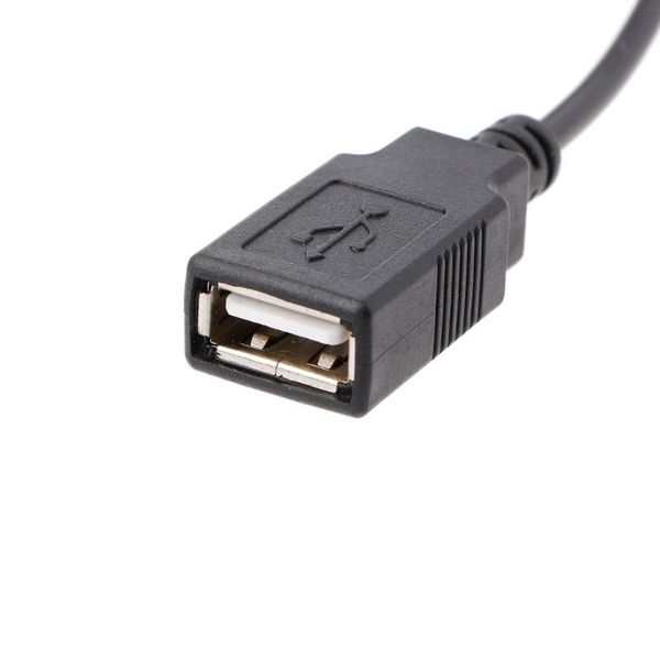 

smart power plugs 30cm pc internal 5v 2-pin ide molex to usb 2.0 type a female adapter cable