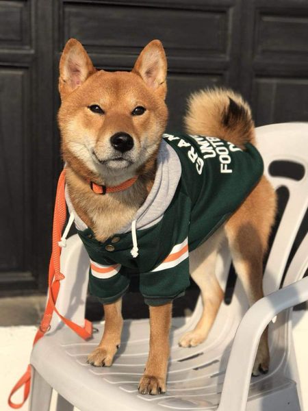 

doggie clothes pet fall/winter feather warm hoodie schnauzer teddy dog apparel