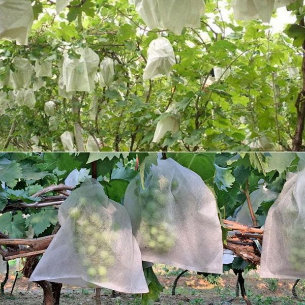 

planters & pots 100pcs grape protection bag anti-bird moisture insect net vegetable fruit protect breeding prevent tree mosquitoes