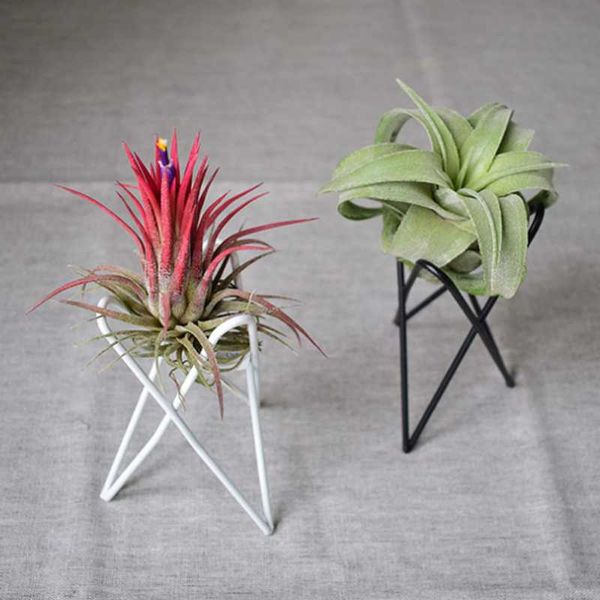 

planters & pots geometric iron art air plant holders stands racks balcony tillandsia garden planter support for flower pot tray rack home de