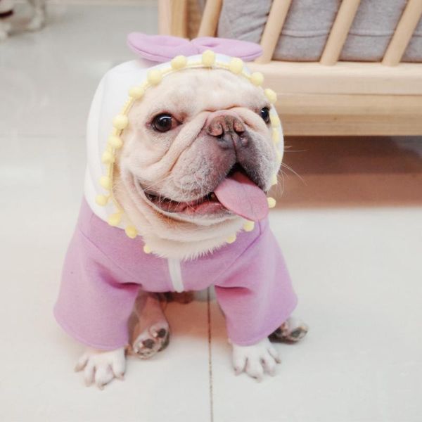 

pet cotton clothes fall and winter purple fleece bow sweater fat dog french fighting hoodie poodle apparel