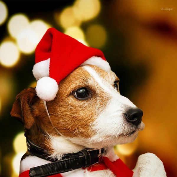 

christmas decorations festive and year's hats pet dog santa hat year for