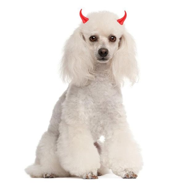 

dog apparel 1 pair pet clip fashion creative small demon ox horn hairpins for halloween party puppy kitten hair decor accessory