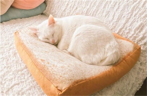 

cat bed removable design dog kennel pet toast bread cat dog mats soft bed rug cushion wash detachable soft sofa small beds