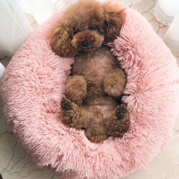 

dog houses & kennels accessories 5 colors warm pets beds cat cushion mats kennel for small dogs sleeping house blanket cattery puppy doghous