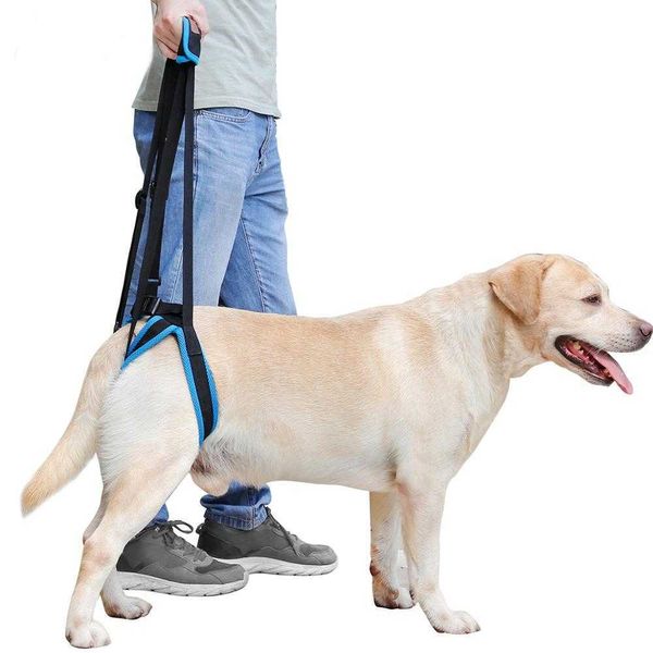 Cão levantando chicote para as pernas traseiras ajustáveis, levantando o chicote para patas traseiras para ajudar as pernas fracas em pé ajuda airness 210712