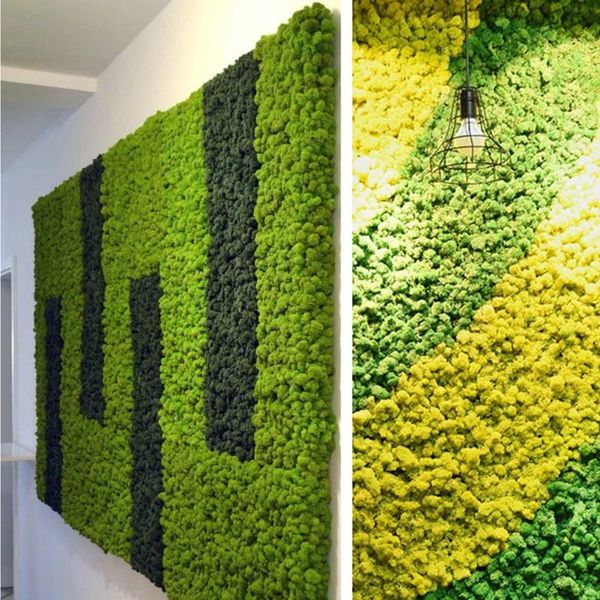 

decorative flowers & wreaths artificial green plant immortal fake flower moss grass home living room wall diy mini accessories