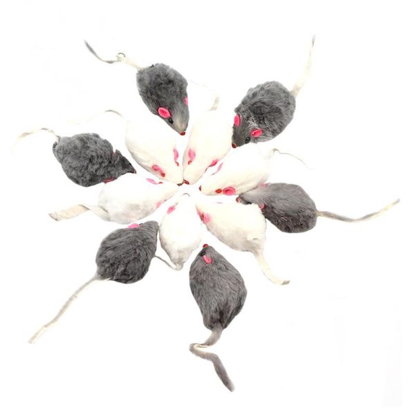 

cat toys 12pcs simulation teasing adorable interactive chew