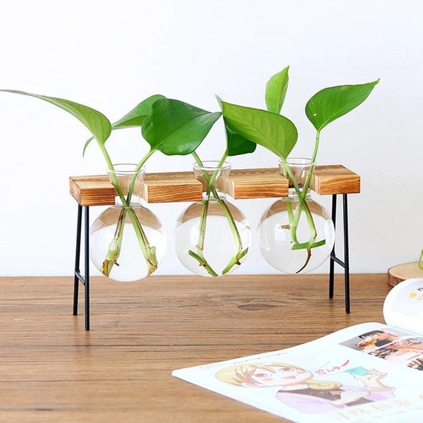 

party favor glass bottle vase hydroponic plant transparent wooden frame shop room decor table desk decoration terrarium gift