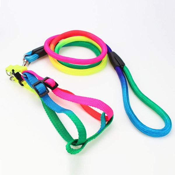 

dog collars & leashes collar leash harness nylon adjustable colorful safety for small medium large chihuahua accessories