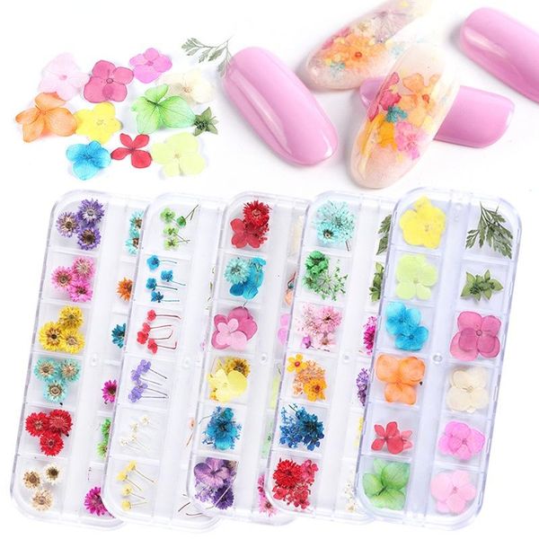 

nail gel manicure dried flowers 12 grid boxed colorful small daisy gypsophila real flower jewelry art, Red;pink