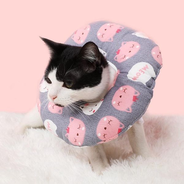 

cute pet cat recovery collar elizabeth protective for dog preventing licking wound small pillow dogs collars & leashes