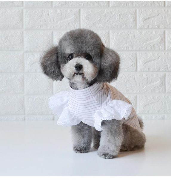 

dog apparel clothes est spring and summer vests pet small bottoming t-shirts