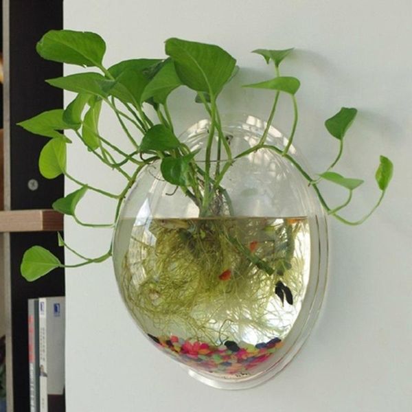

aquariums acrylic fish bowl wall hanging aquarium tank aquatic pet supplies pets product mount pot plant vase mounted home decoration
