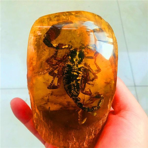 

10cm natural amber beeswax stone insect display scorpion. butterfly. cicada. decorative objects & figurines