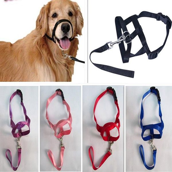 

cat collars & leads nylon dog mouth muzzle head halter collar adjustable pet sbarking pulling training strap supplies