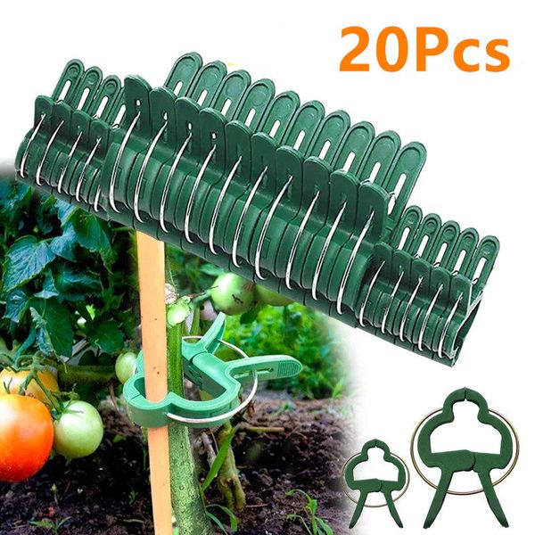 20 pz clip per piante 2 dimensioni che regolano clip per piante da giardino per sostenere steli di fiori vite verdure pomodori arrampicata