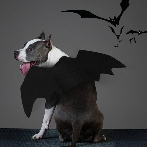 

cat costumes halloween pet dog cosplay black wings cute fancy dress up costume