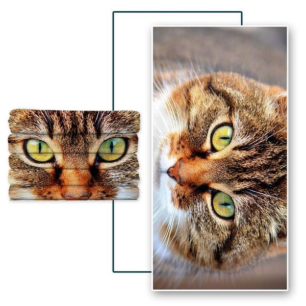 

towel microfine microfiber animal print beach towels are quick-drying soft and comfortable