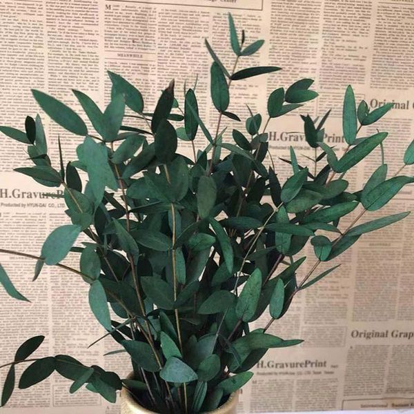 

decorative flowers & wreaths 10~30cm/50g real nature preserved fine leaf eucalyptus bundle,diy eternell leaves flower garland,home decor,wed
