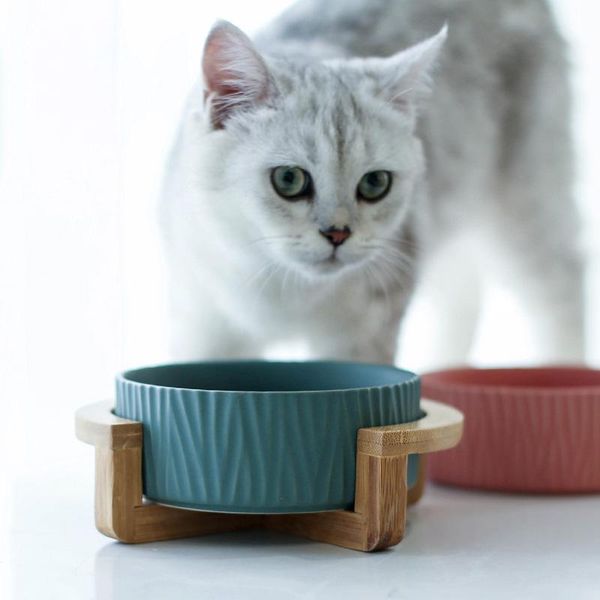 

ceramic cat dog bowl dish with wood stand no spill pet water feeder cats small dogs bowls & feeders