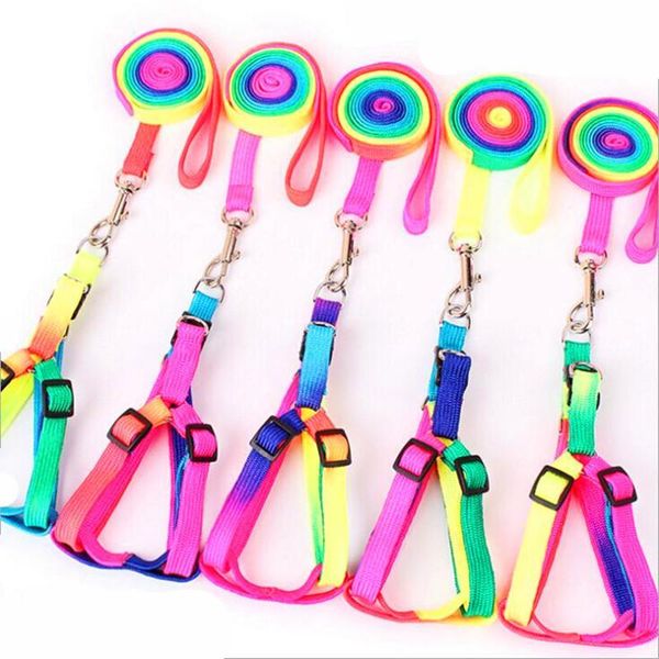 

dog collars & leashes adjustable small pet leash product nylon dogs collar lead puppy walk out hand strap for cat v3