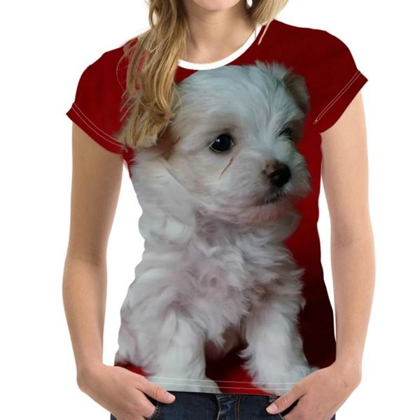 

women's t-shirt men's and couple wear animal cats dogs 3d printing harajuku street casual 2021, White