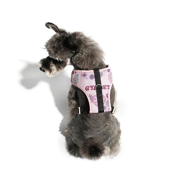 

dog collars & leashes