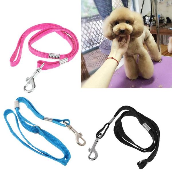 

dog collars & leashes pet leash nylon cat grooming loop cable rope for beauty bathing drop