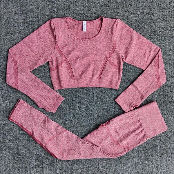 

yoga outfit seamless 2pcs gym set workout clothes for women long sleeve crop shirt compression fitness leggings sport suits
